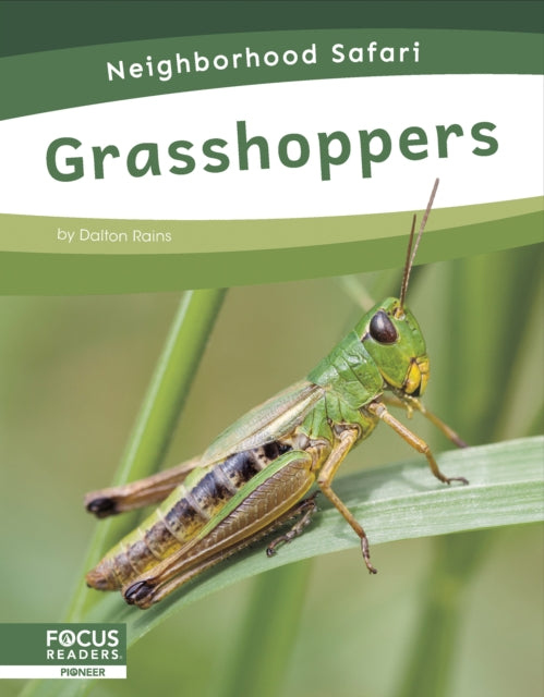 Book cover of: Grasshoppers. By: Dalton Rains