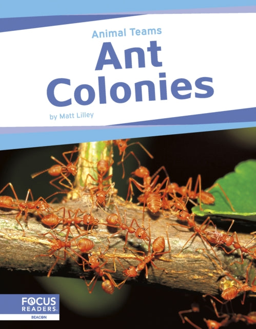 Book cover of: Ant Colonies. By: Matt Lilley