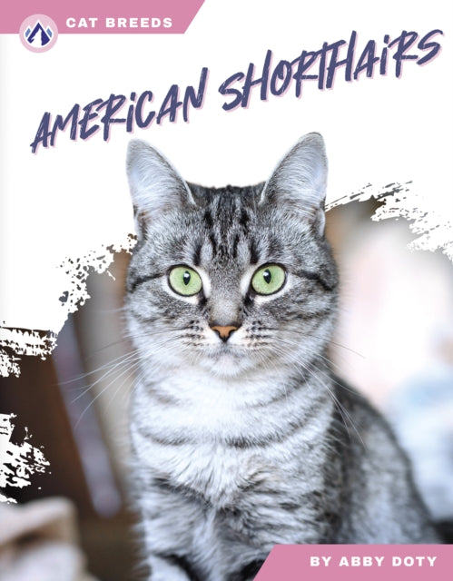 Book cover of: American Shorthairs