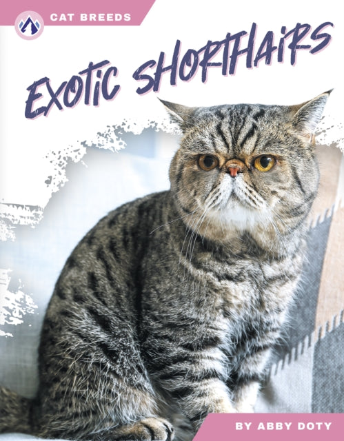 Book cover of: Exotic Shorthairs