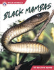 Book cover of: Black Mambas. By: Dalton Rains