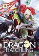 Book cover of: Reincarnated as a Dragon Hatchling (Light Novel) Vol. 11