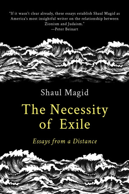 Book cover of: Necessity of Exile. By: Shaul Magid