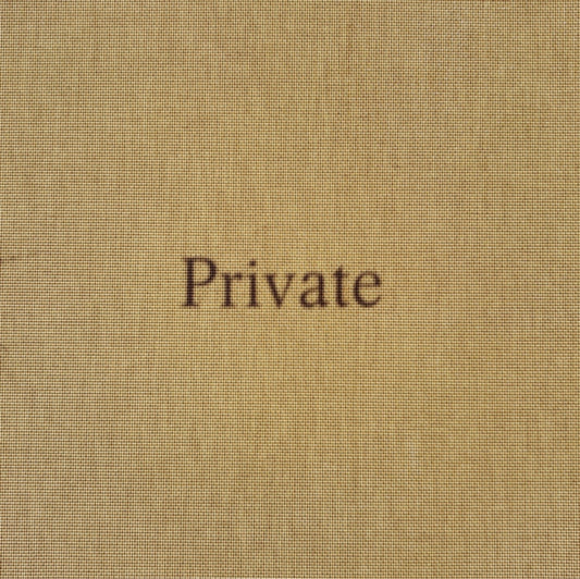 Book cover of: Tod Lippy: Private. By: Tod Lippy
