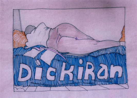 Book cover of: DICKIRAN. By: Baktash